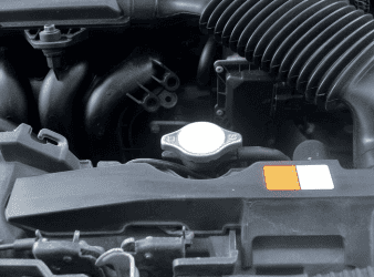 Engine bay with clean engine components and fluid caps.