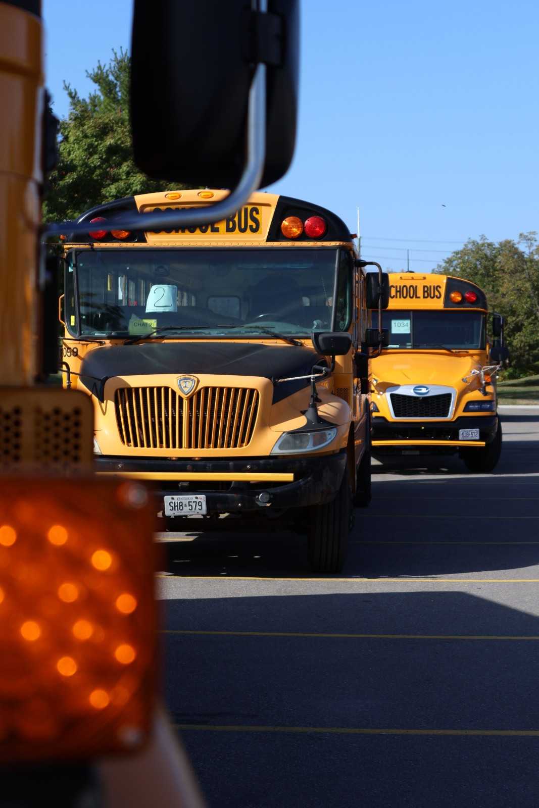 Yellow school buses parked in a lot under clear blue sky.