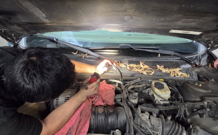  Car Won’t Start in the Cold? 5 Reasons Milwaukee Drivers Get Stranded (and How to Prevent It)