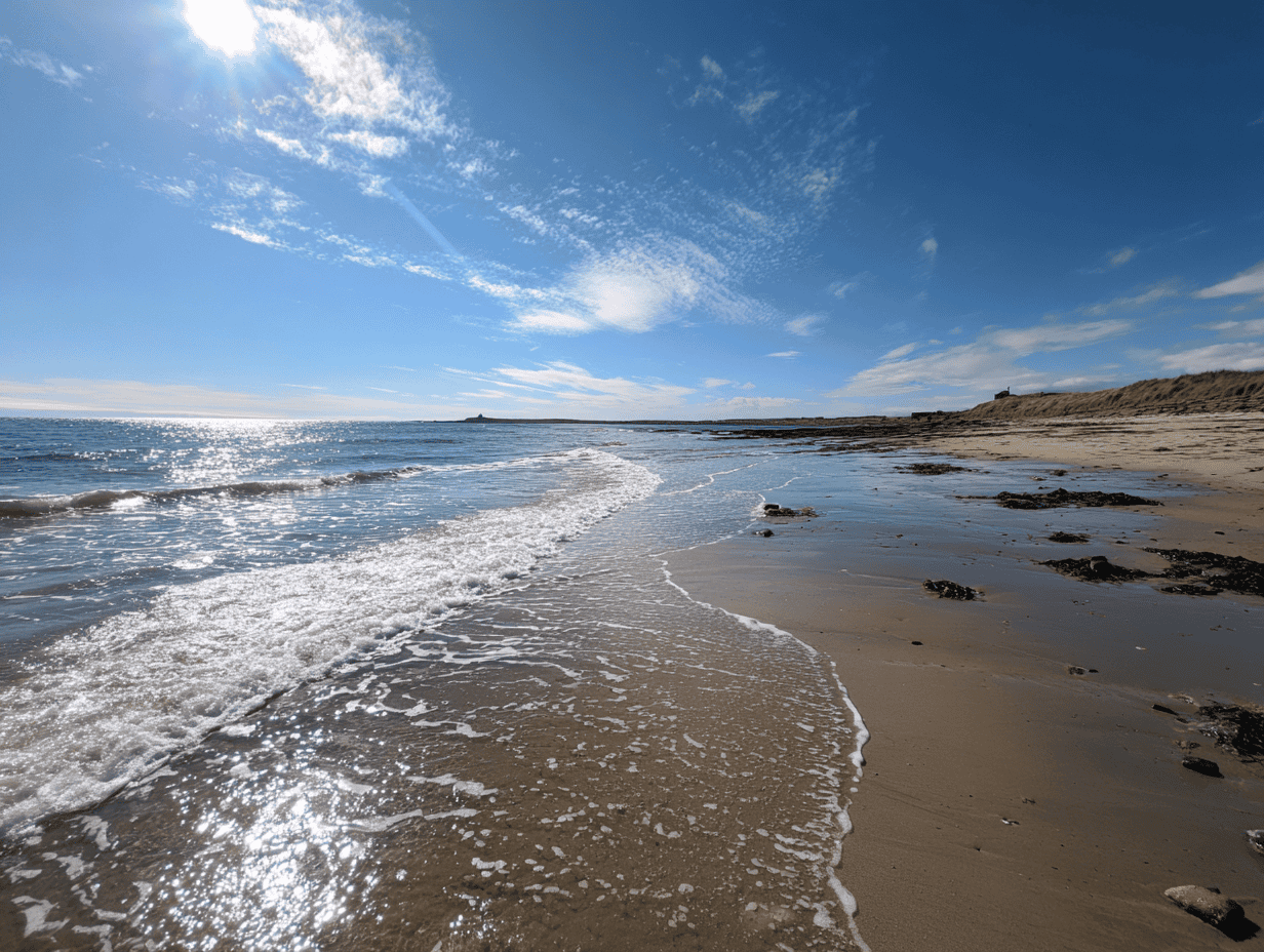 Boulmer Beach Sea Glass Guide