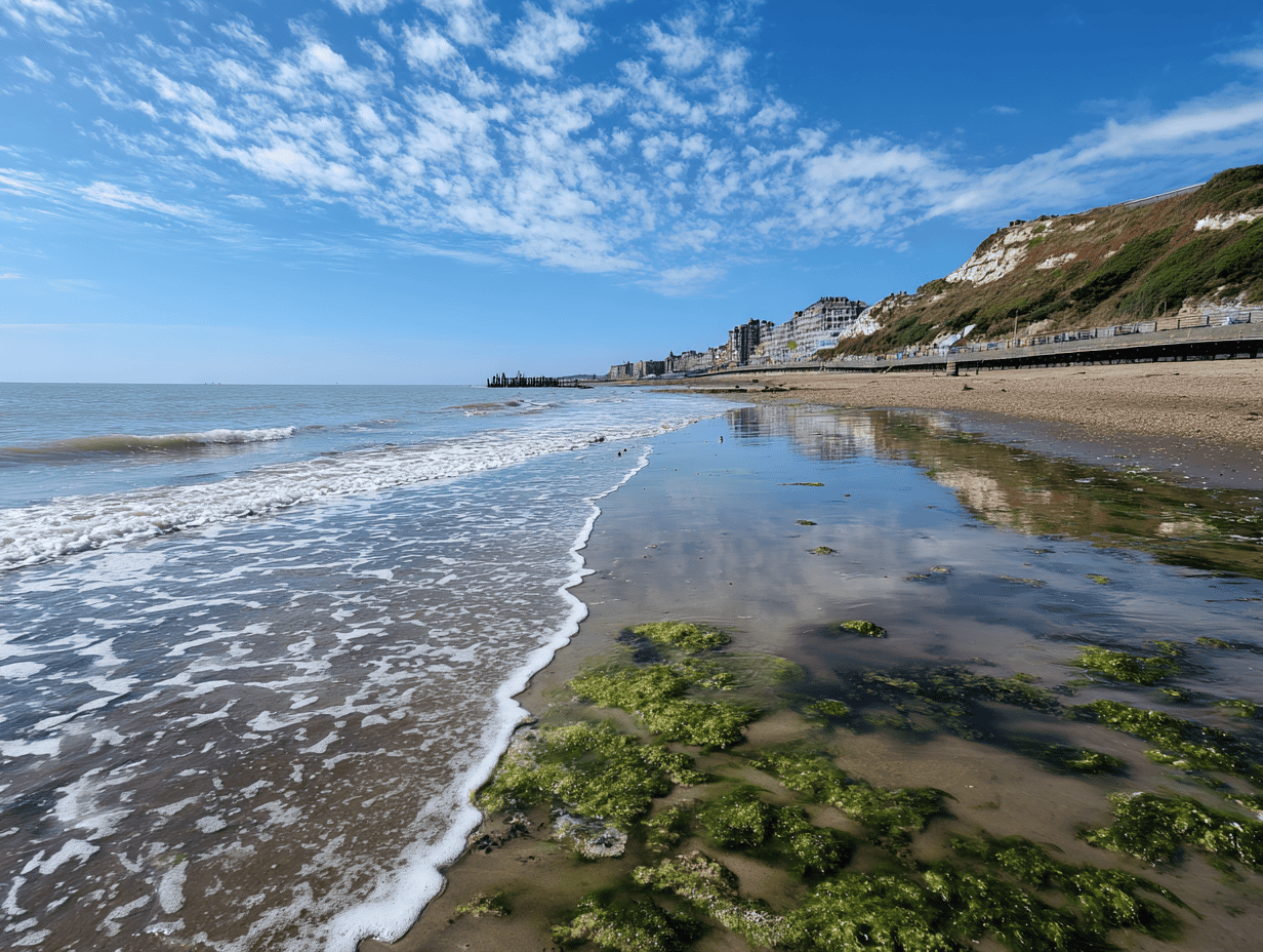 Folkestone Beach Sea Glass Guide
