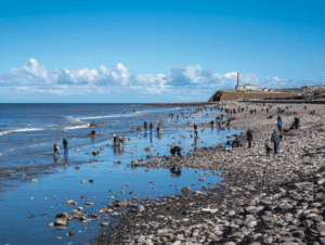 Seaglass Hunting on Brighton Beach People collecting seaglass along Seaham
Beach shoreline on a sunny day.
