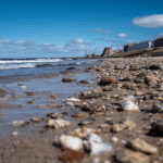 Seaglass hunting along a pebble beach with buildings in the background under a blue sky.
