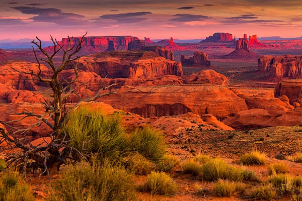 land