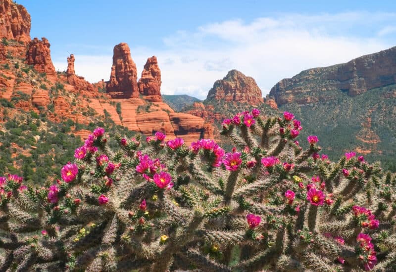 sedona-9