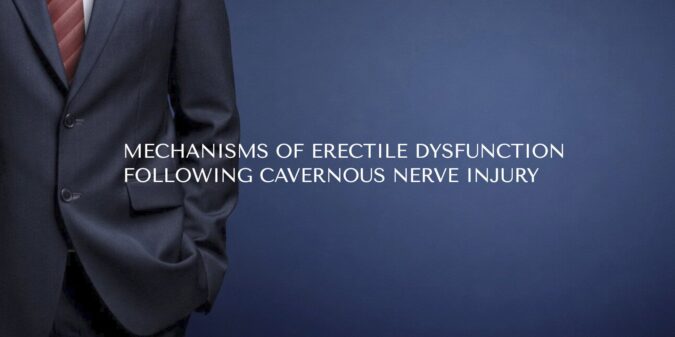Mechanisms of Erectile Dysfunction Following Cavernous Nerve Injury
