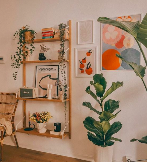 small apartment living room 