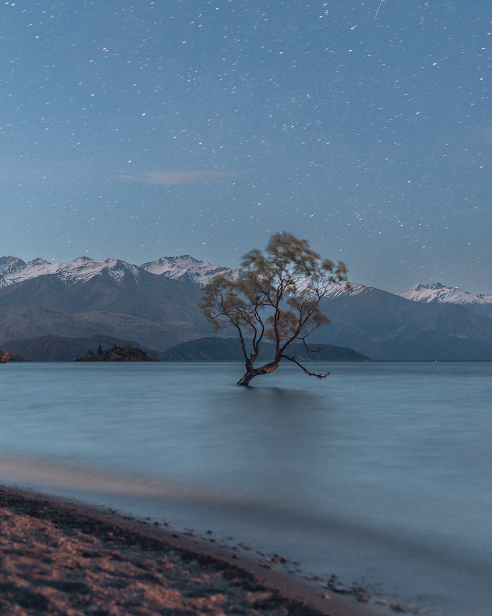 A lone tree standing in a lake. Behind it are snowy mountains and a starry night sky. Lake Wanaka, New Zealand South Island 7 Day itinerary