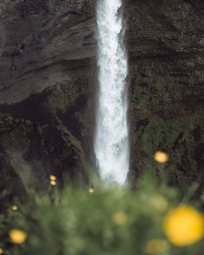 A waterfall pouring over a dark mossy rock face. In the foreground is green grass with tiny small flowers.