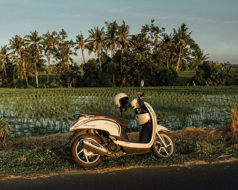 A cream-colored scooter with a helmet rests on a roadside, overlooking flooded rice paddies and a line of palm trees at sunset.