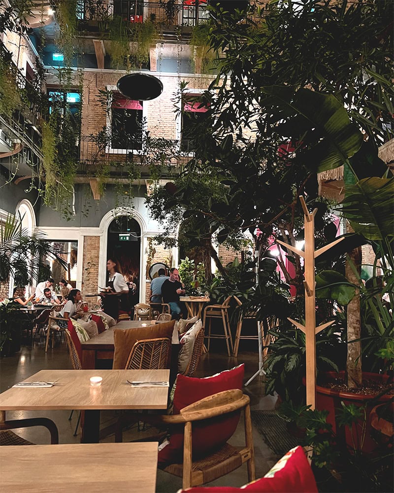 A restaurant interior with plants hanging from the walls, warm lighting, and people dining.