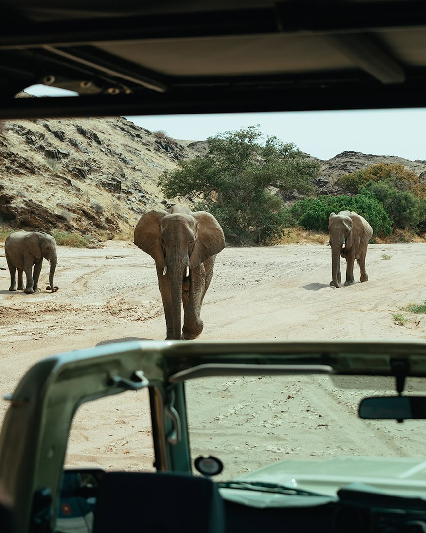 Three elephants walking along a dusty road viewed from inside a safari vehicle. The landscape is dry with rocky hills and scattered trees.