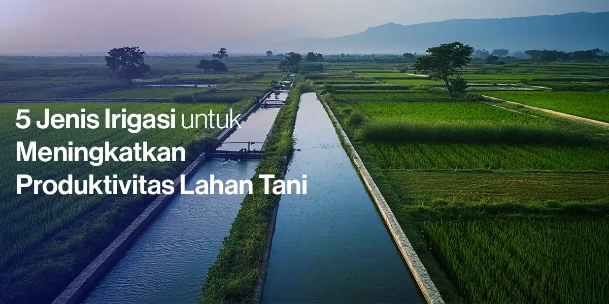 5 Jenis Irigasi untuk Meningkatkan Produktivitas Lahan Pertanian
