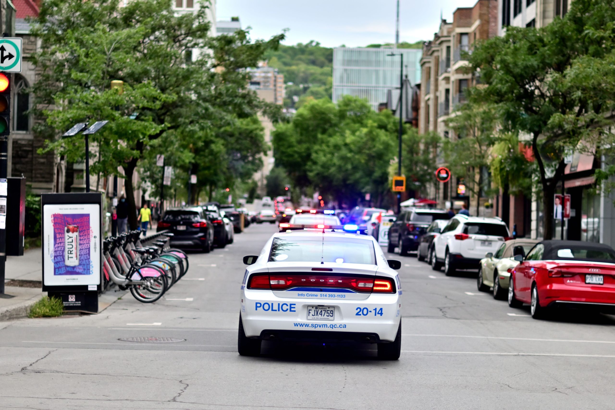 Tactical Vehicle Customization: Building Specialty Rigs for SWAT, K9, and Response Teams