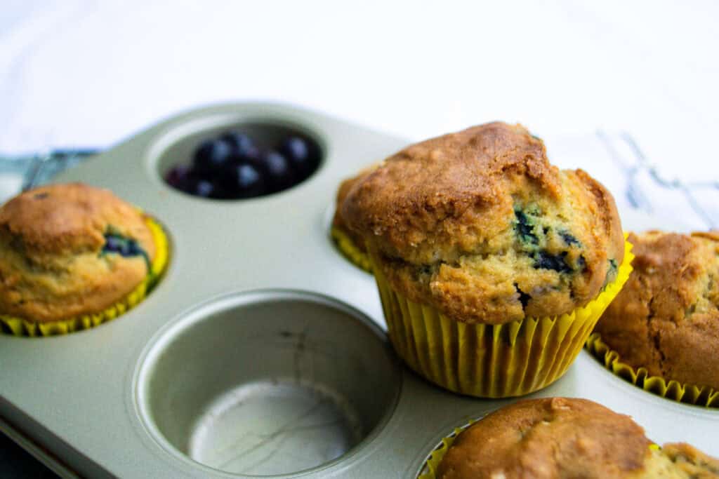 vegan blueberry muffin
