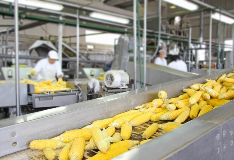An image that shows Food