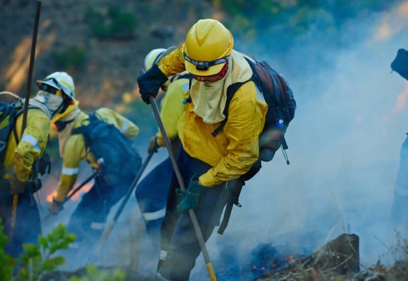 An image that shows Emergency, Forest And Firefighter Team With Disaster Management, Smoke And Damage Control In Bush. Mountain, Flame And People Help With Fire Rescue, Volunteer Service Or Safety In Nature Conservation