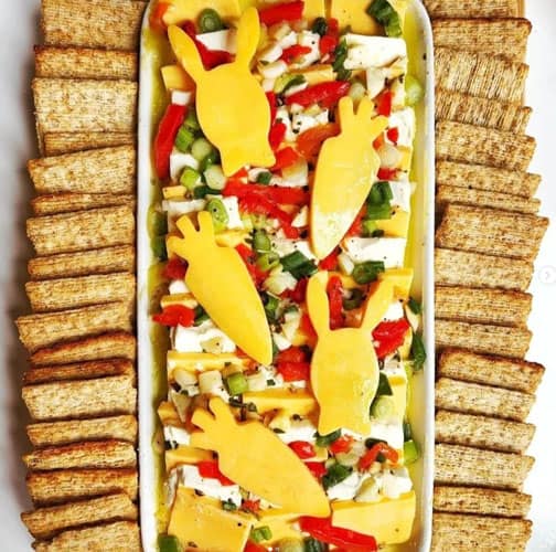 Cute Cheese Appetizer