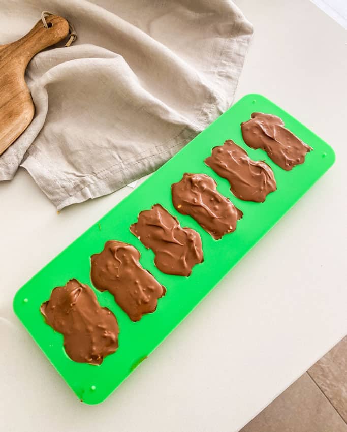 Harry Potter chocolate frogs