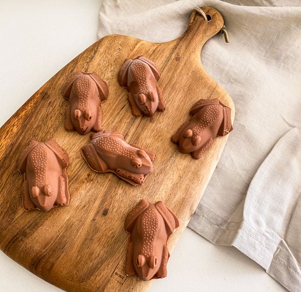 Harry Potter Chocolate Frogs