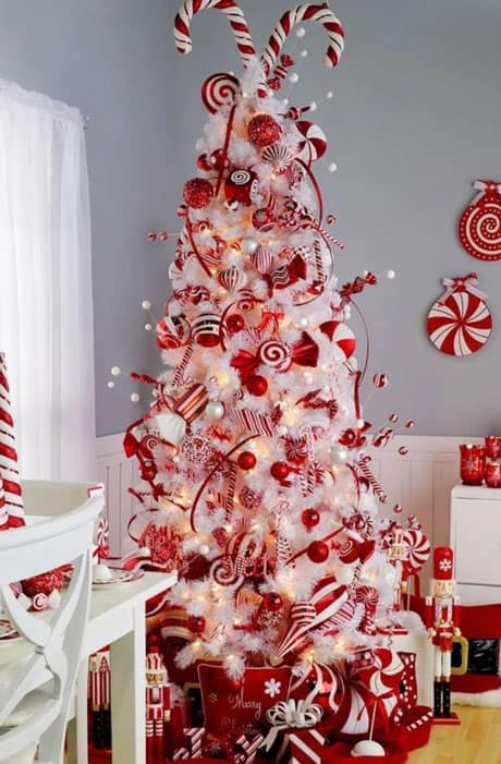 Peppermint Tree