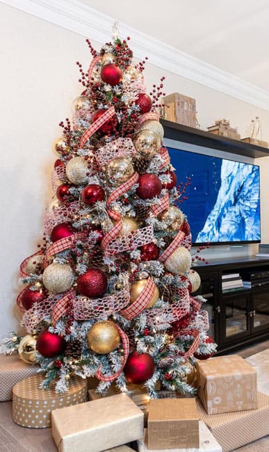 Red and Gold Ornaments