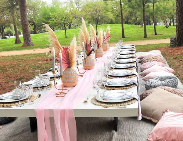 Galentine's Day Picnic