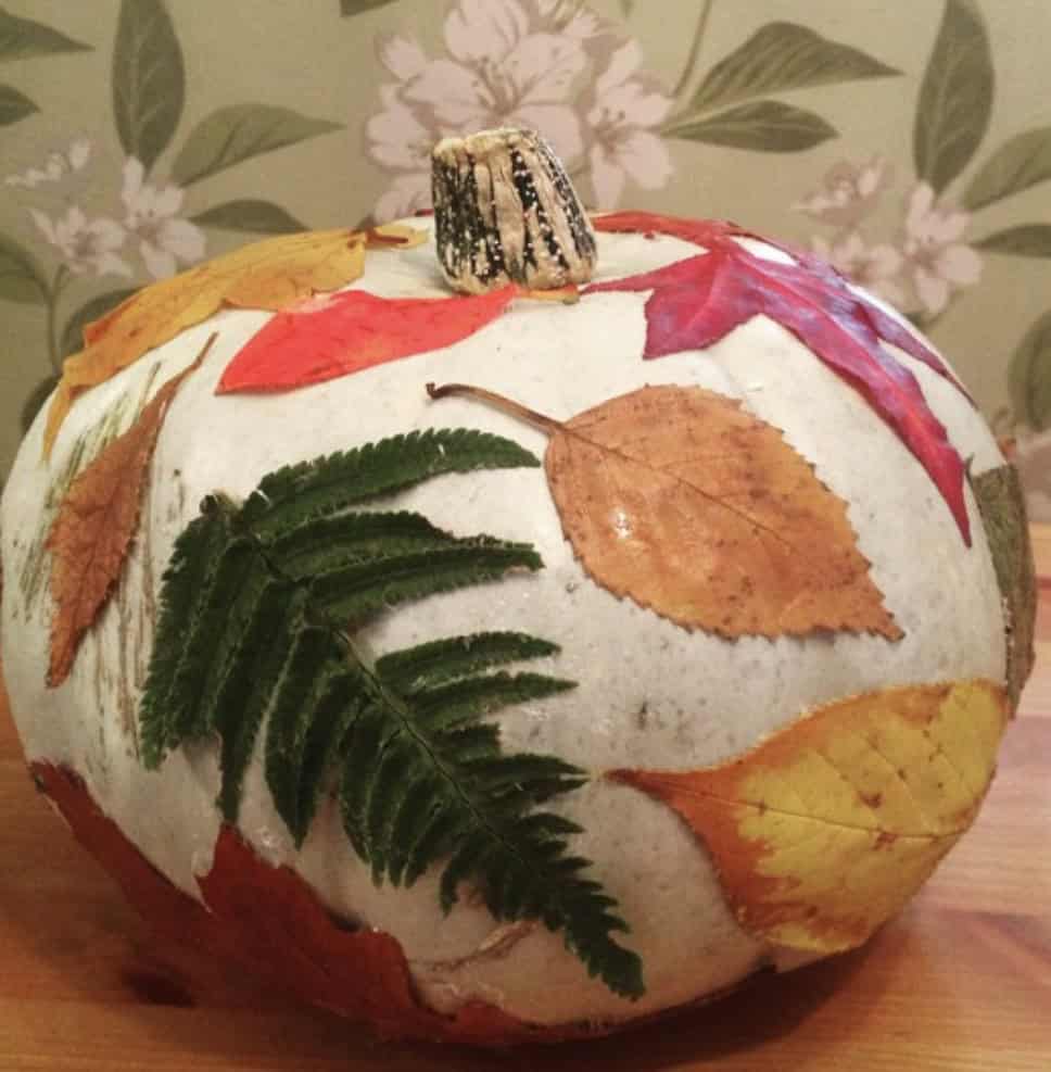 Fall Pumpkin