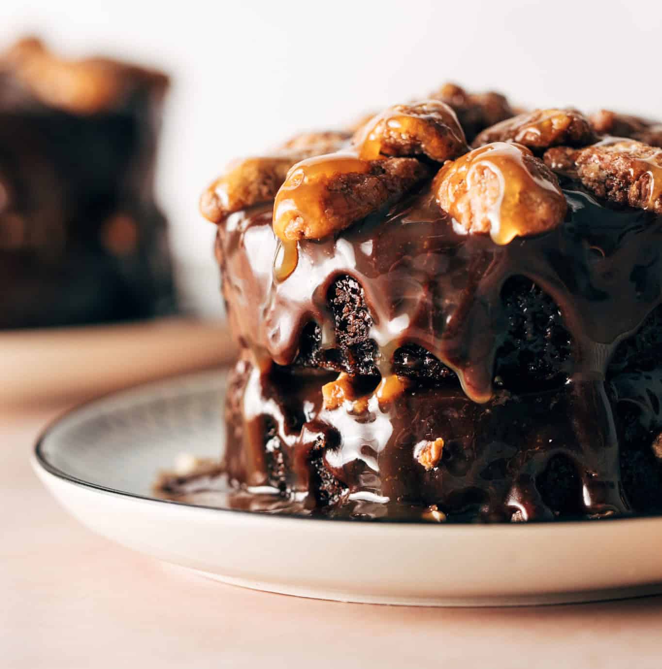 Cafe Latte Turtle Cake