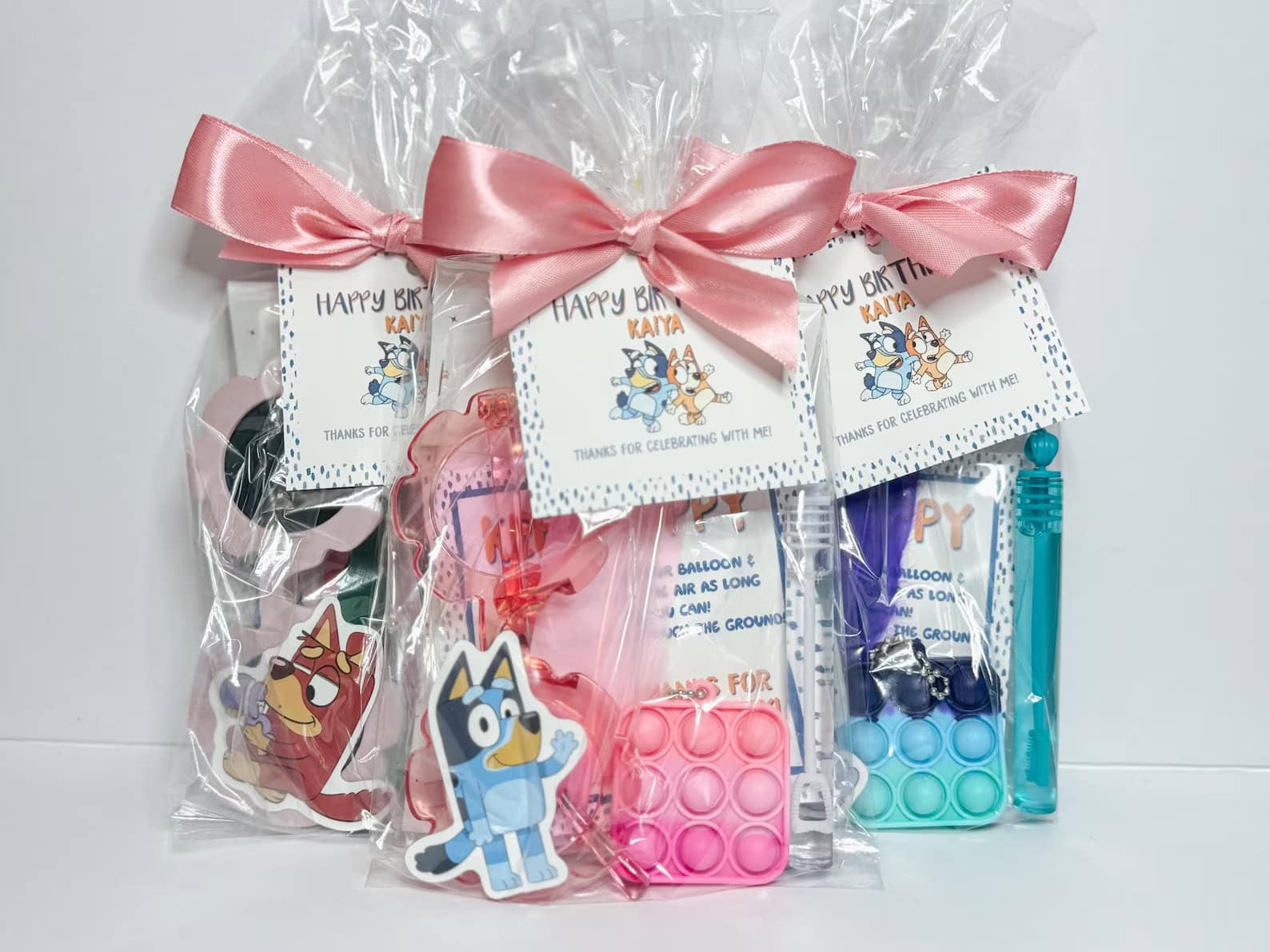 Bluey Goodie Bag Party Favors