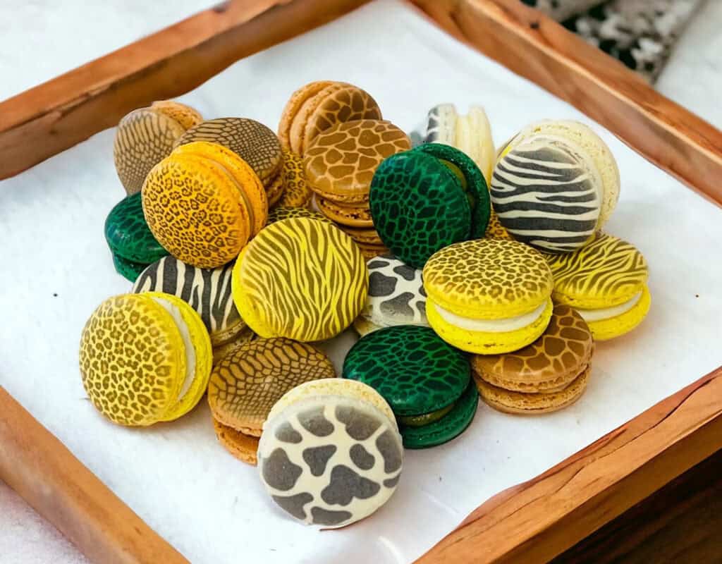 Safari Printed Macaron Set