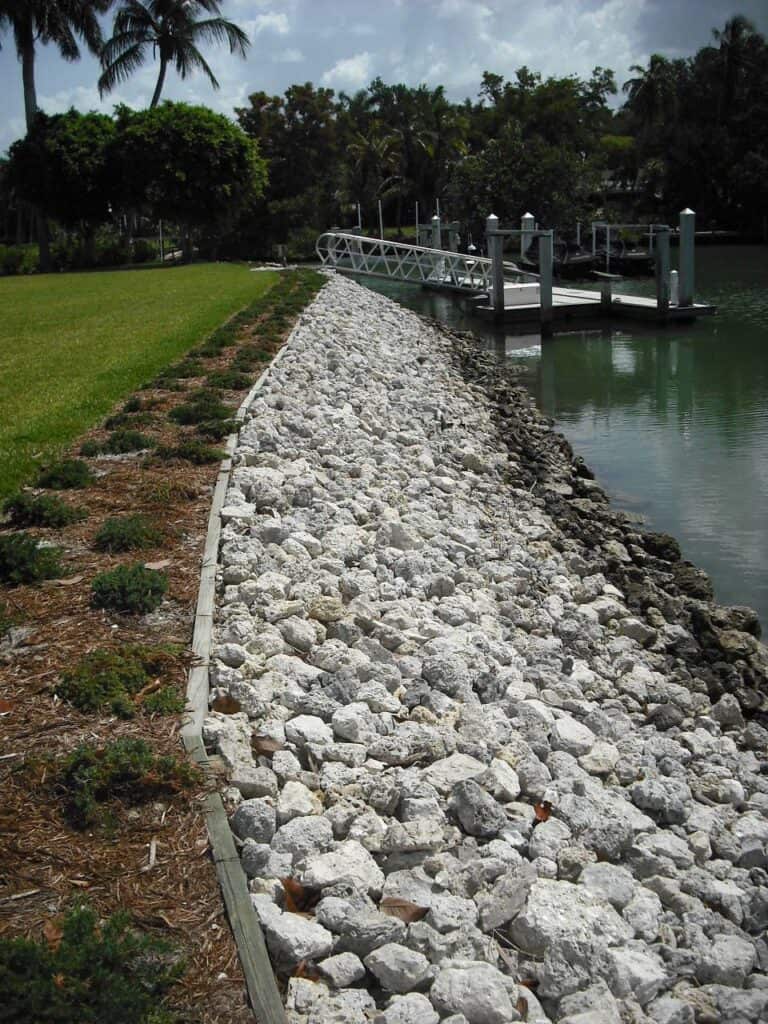 Rustic lakeside shoreline with stone barrier and dock, lush greenery, and tropical palm trees in the background.