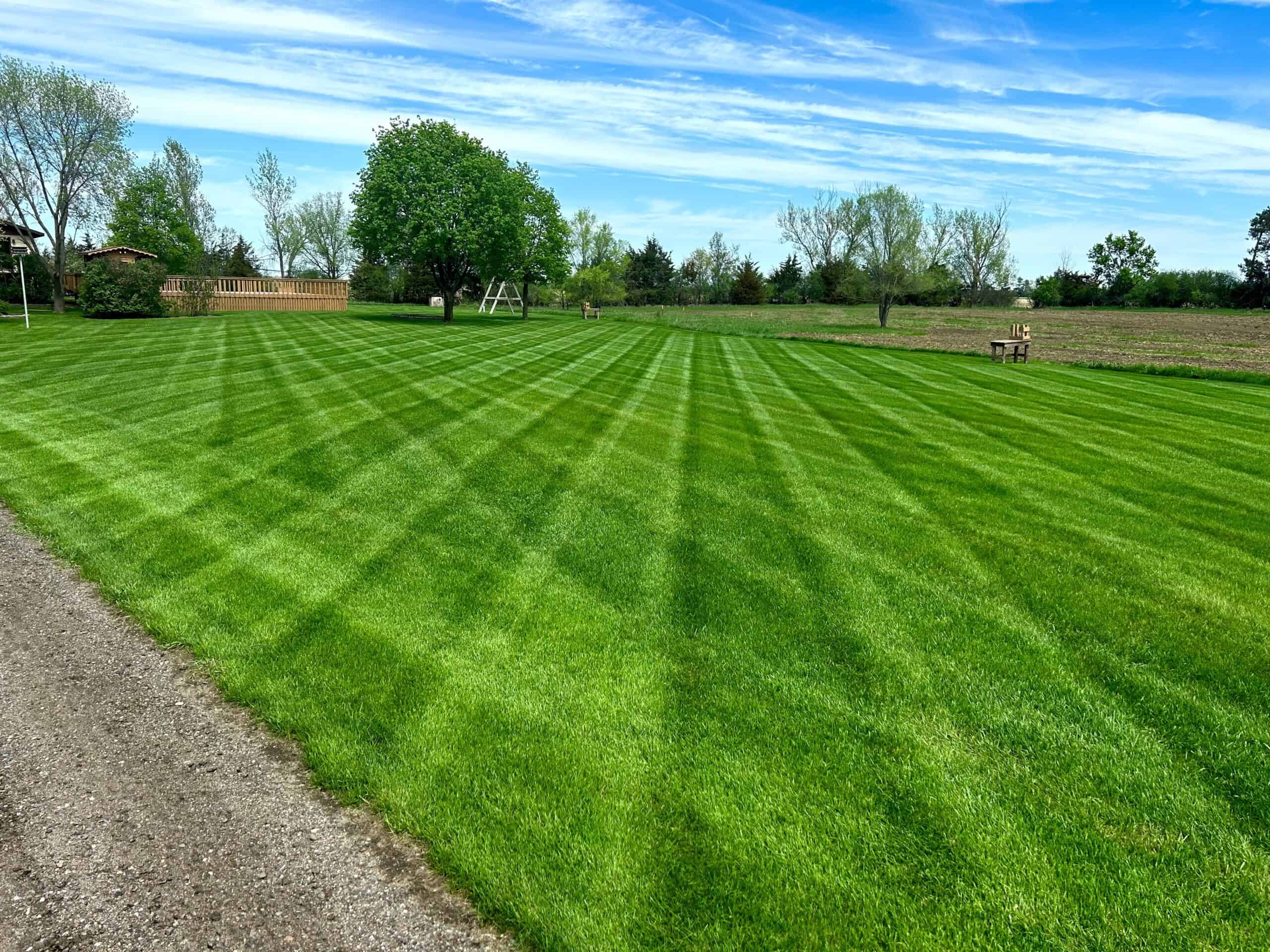 Lush green lawn with freshly mowed grass and clear blue sky, showcasing expert landscaping services.