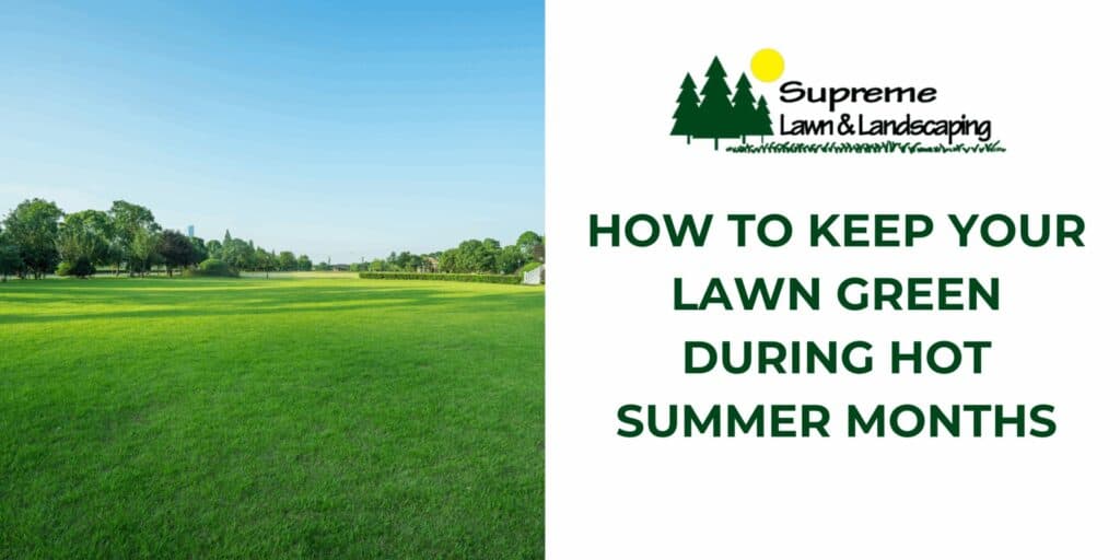 Lush green lawn on a sunny day, healthy and vibrant grass maintained for summer.