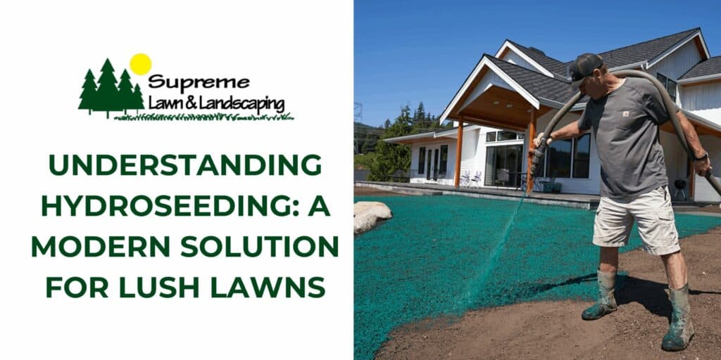 Lawn hydroseeding process for lush green grass in residential backyard.
