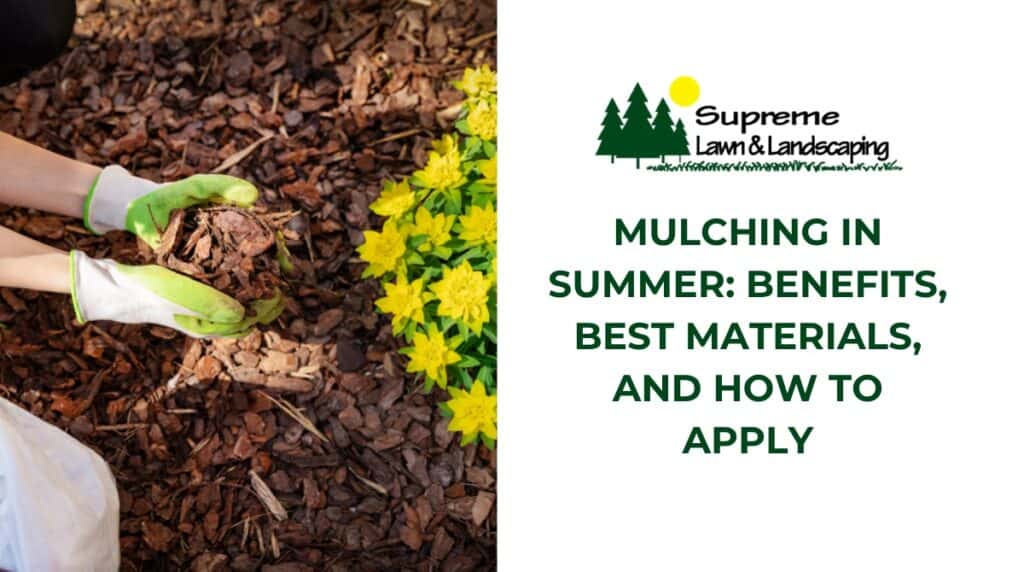 Mulching in summer benefits, materials, and application tips for healthy lawns.