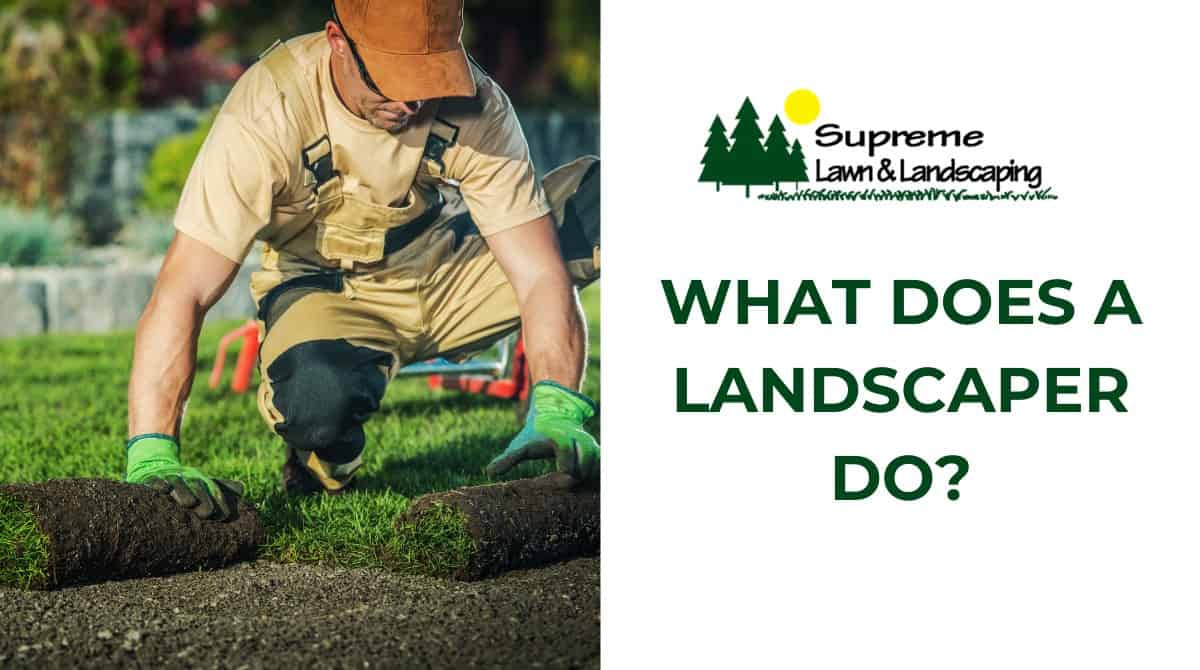 Gardener laying sod on freshly prepared soil for a lush lawn.