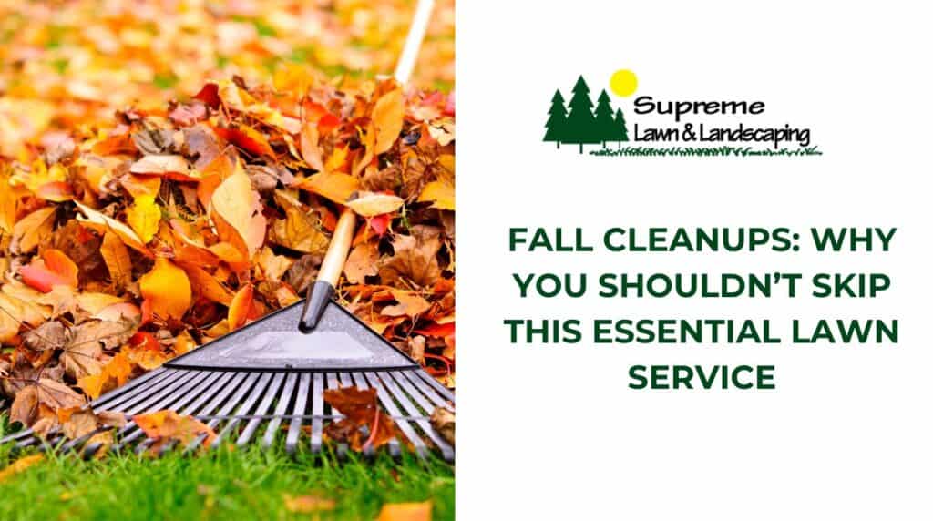 Fallen leaves raked on a lawn with a leaf rake, showcasing essential fall yard cleanup services.
