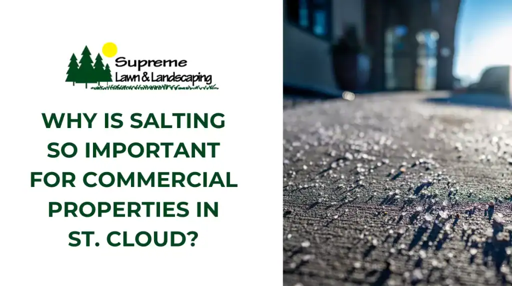 Why Is Salting So Important for Commercial Properties in St. Cloud?