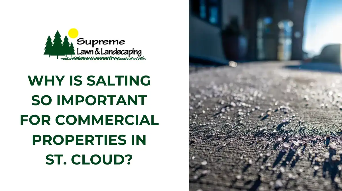 Why Is Salting So Important for Commercial Properties in St. Cloud?