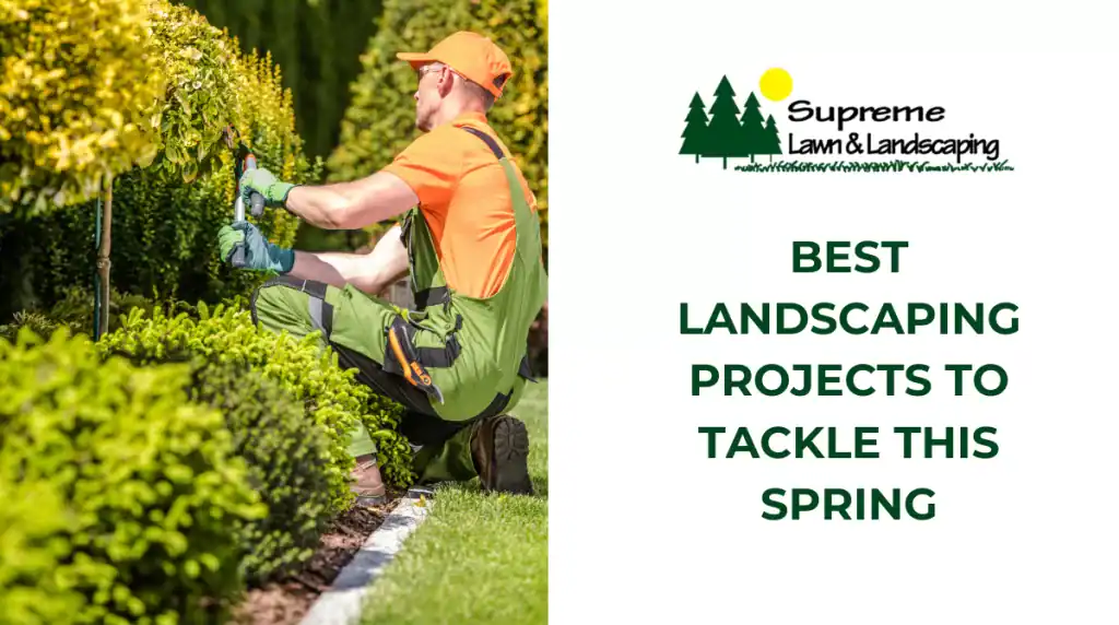Best Landscaping Projects to Tackle This Spring