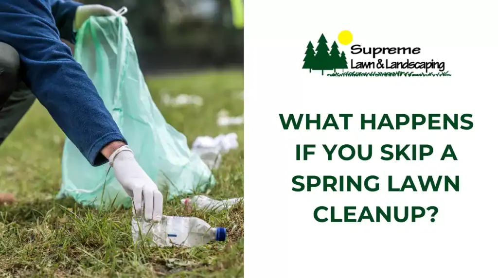 What Happens If You Skip a Spring Lawn Cleanup?