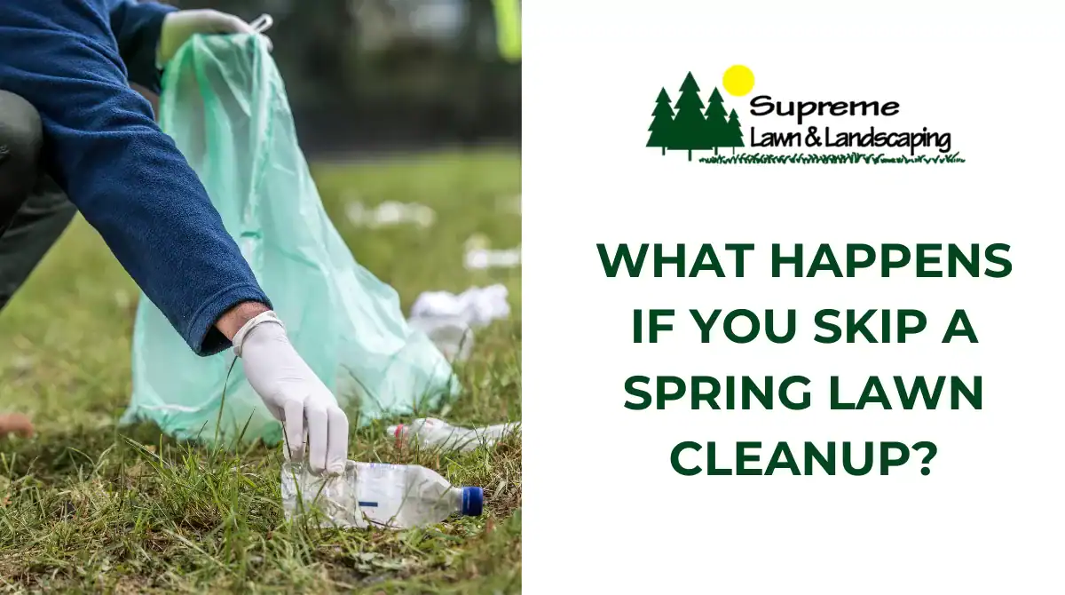 What Happens If You Skip a Spring Lawn Cleanup?