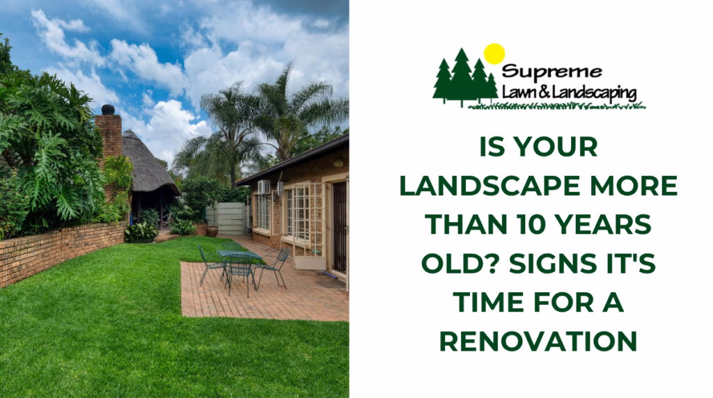 Is Your Landscape More Than 10 Years Old? Signs It's Time for a Renovation