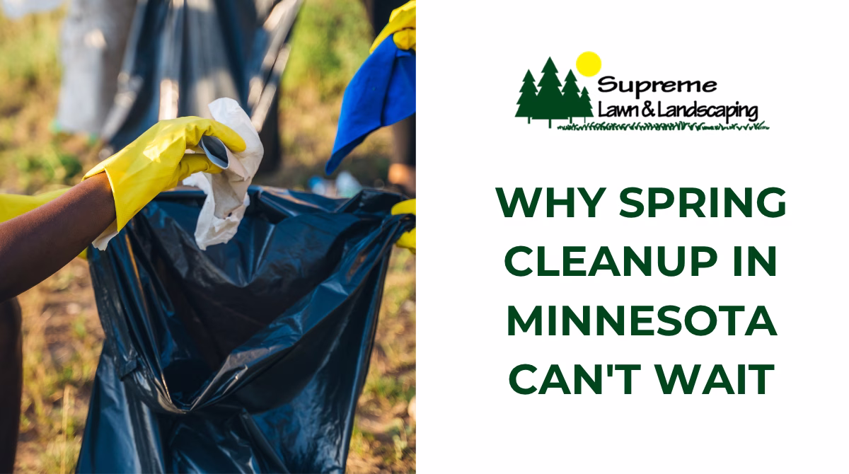 Why Spring Cleanup in Minnesota Can't Wait