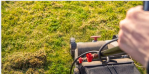 lawn 
