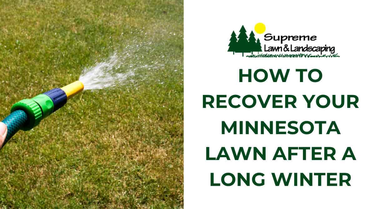 How to Recover Your Minnesota Lawn After a Long Winter