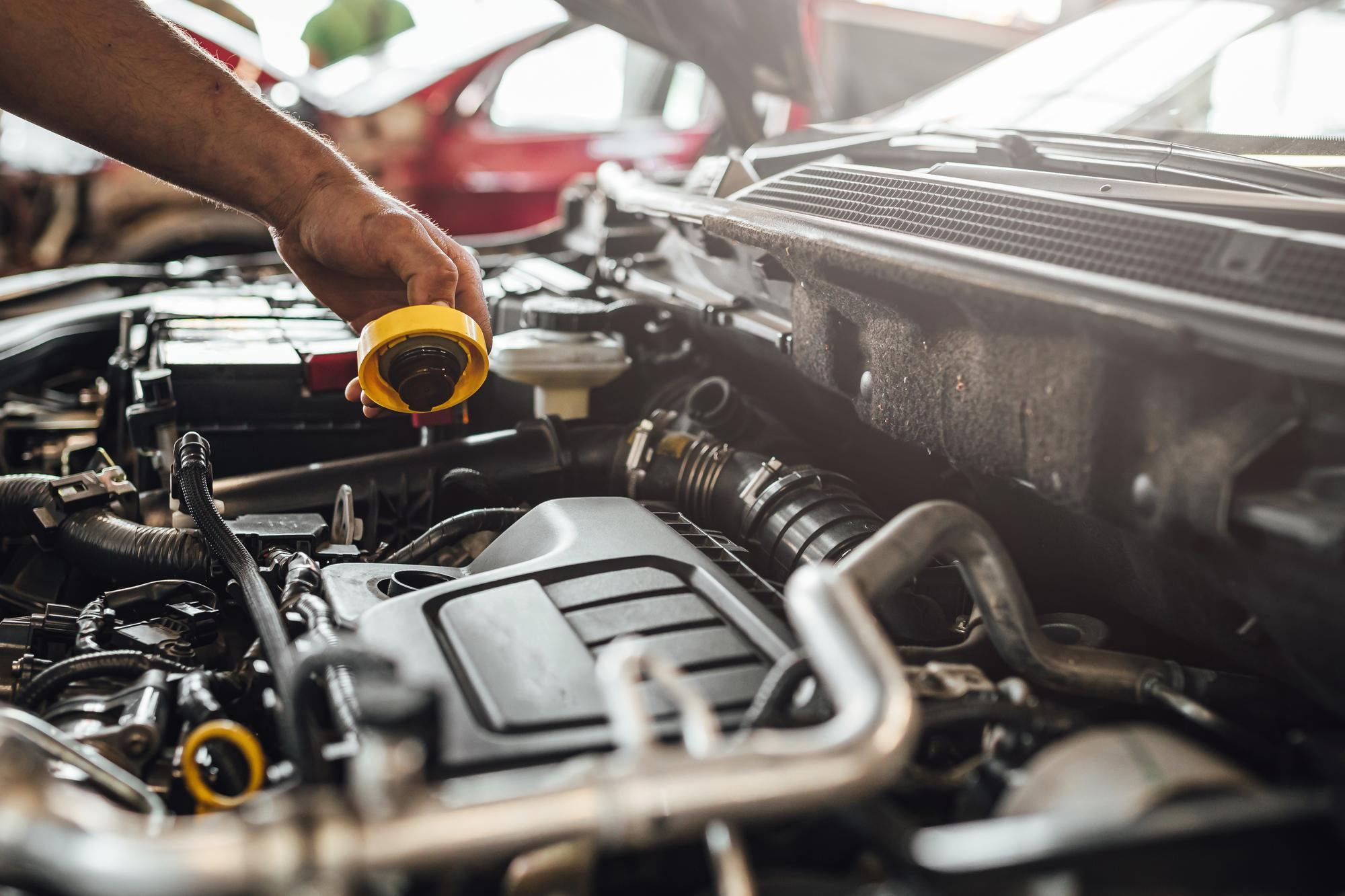 Fluid maintenance service 