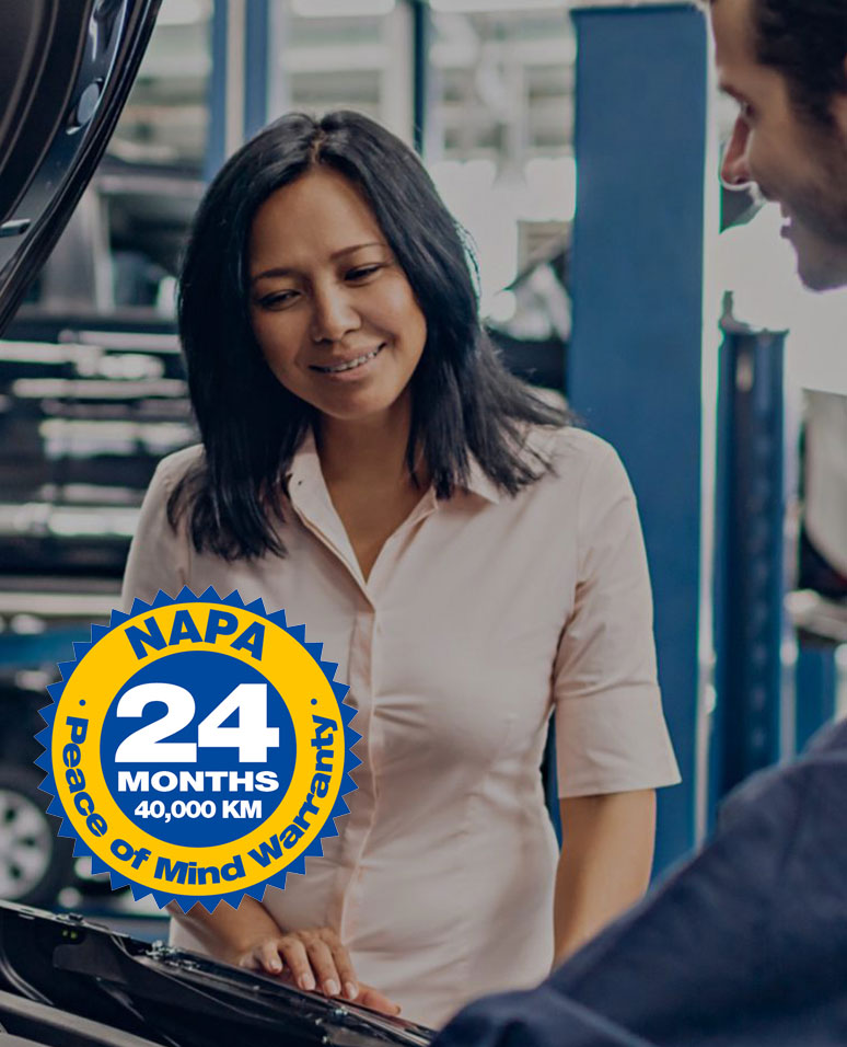 Technician and customer discussing car repair at Techline Motors.