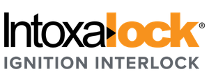 The Car People logo featuring ignition interlock branding and company name.